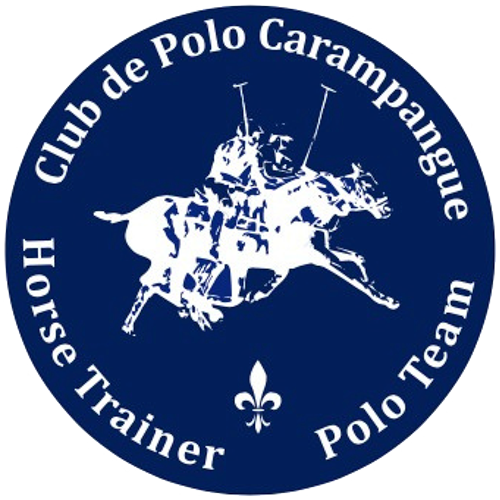 logo footer